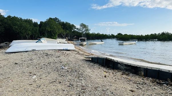 Behavioural Science and Social Innovation: How Can Community Voices Improve the Way We Do Development?